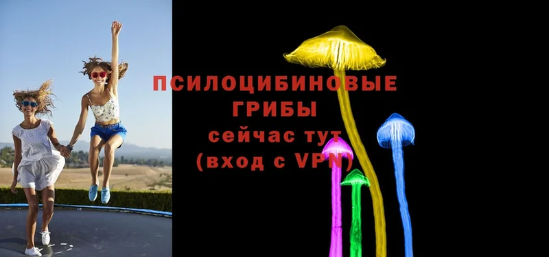 Псилоцибиновые грибы Cubensis  Горнозаводск 